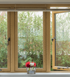Warm Windows and Doors